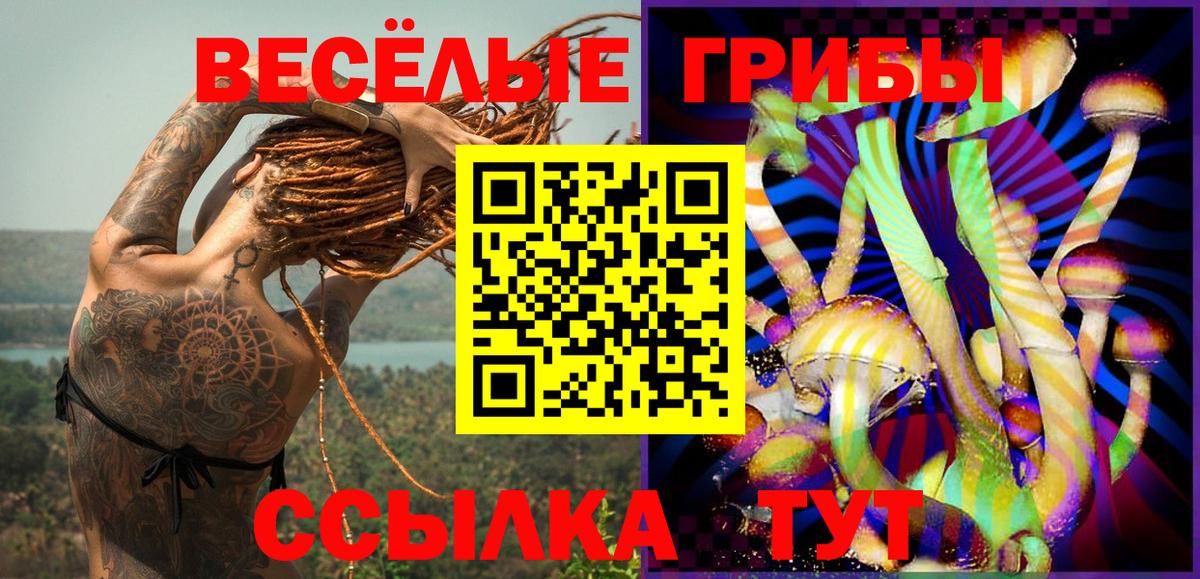 Симферополь  Галлюциногенные грибы мицелий  Вход с VPN 